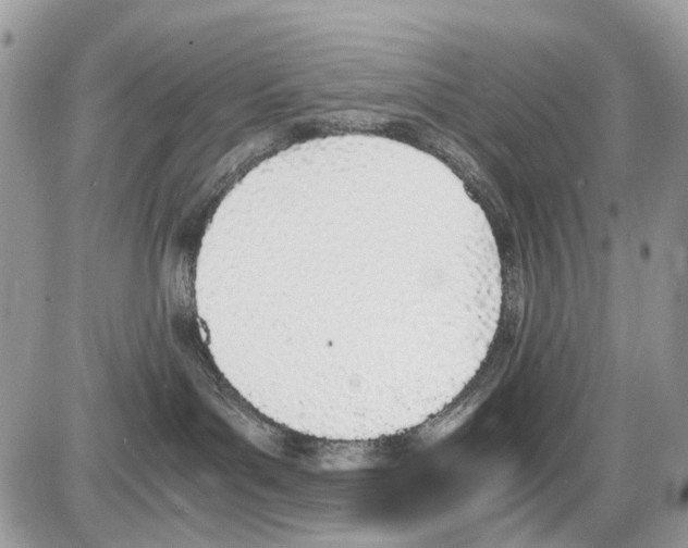 X0000086110143200704202315