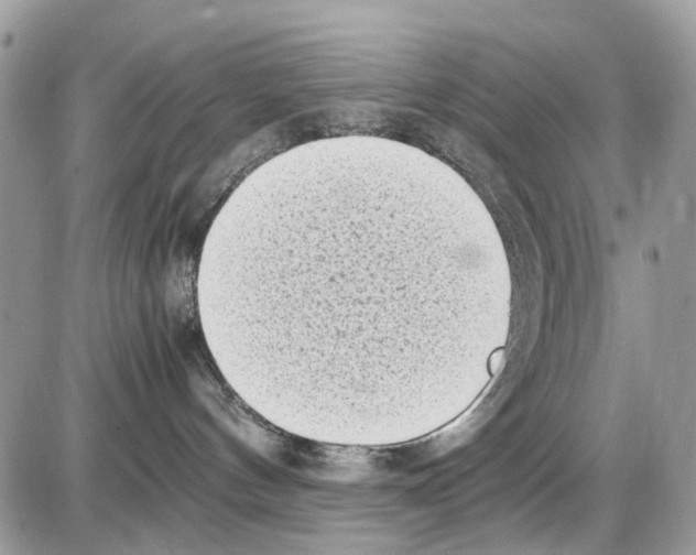 X0000086110144200704202315