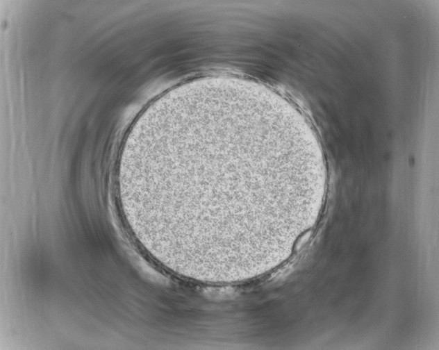 X0000086110145200704202314