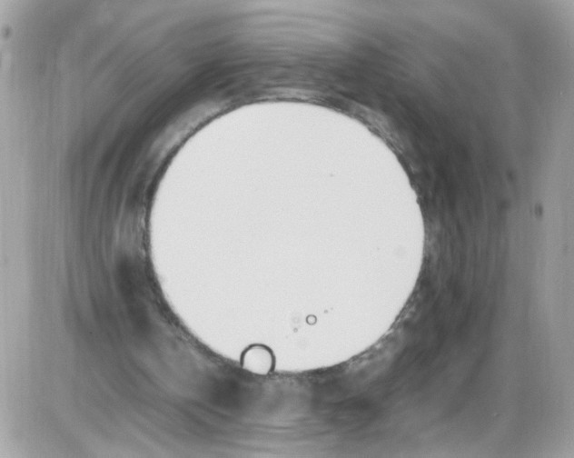 X0000086110146200704202314