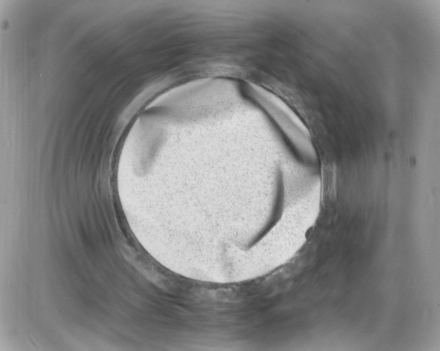 X0000086110147200704202314