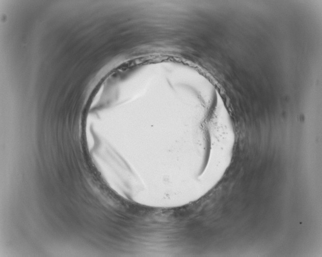 X0000086110148200704202314