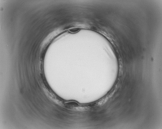 X0000086110149200704202314