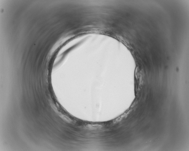 X0000086110150200704202314