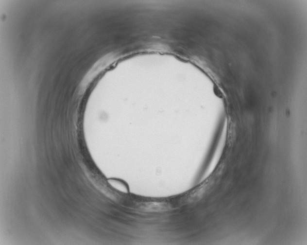 X0000086110151200704202314