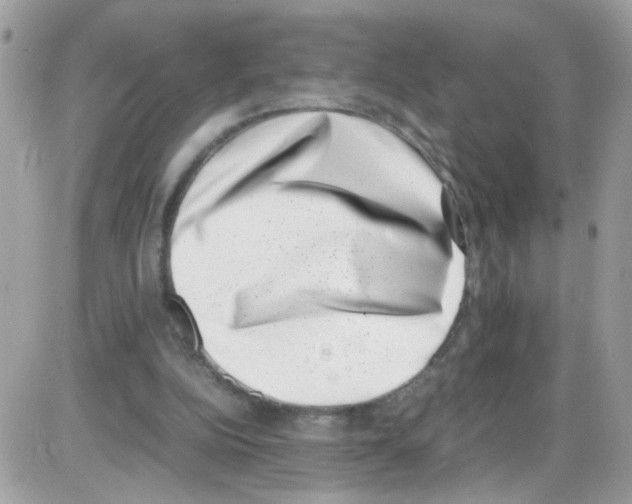 X0000086110152200704202314