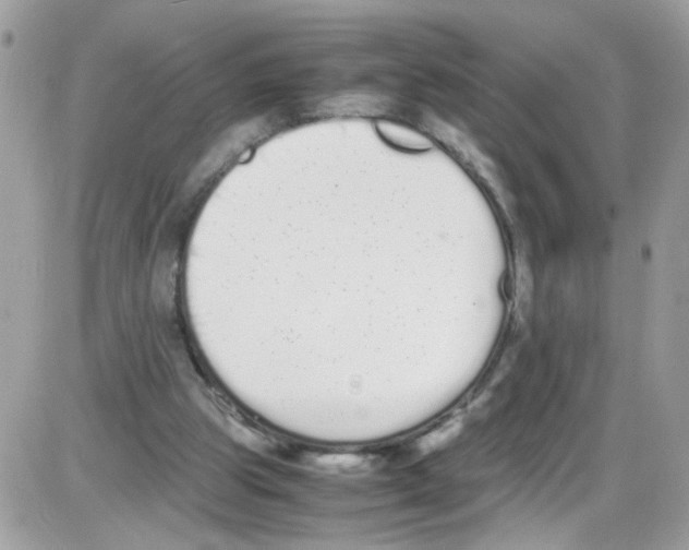 X0000086110153200704202314