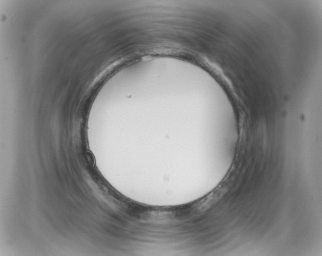 X0000086110154200704202314