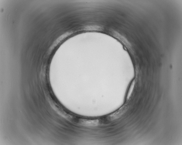 X0000086110155200704202314