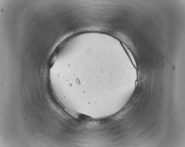 X0000086110156200704202314