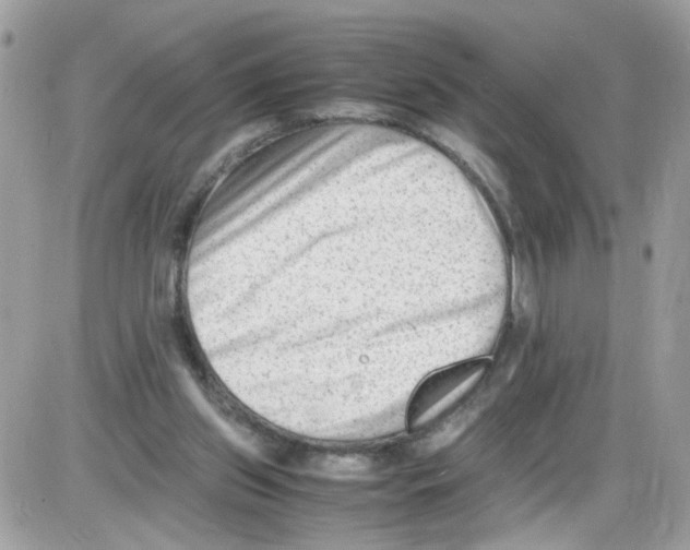 X0000086110157200704202314