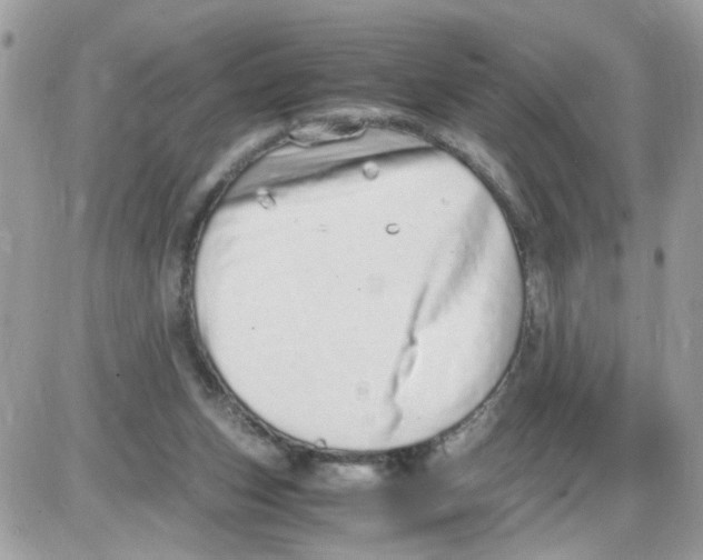 X0000086110159200704202314