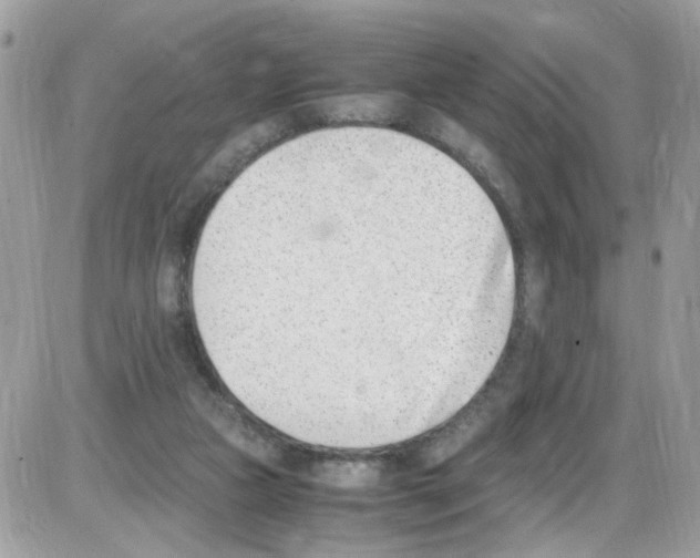 X0000086110161200704202314