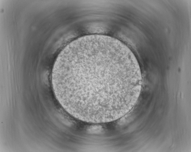 X0000086110162200704202314