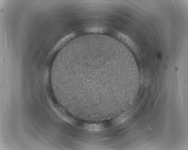 X0000086110163200704202314