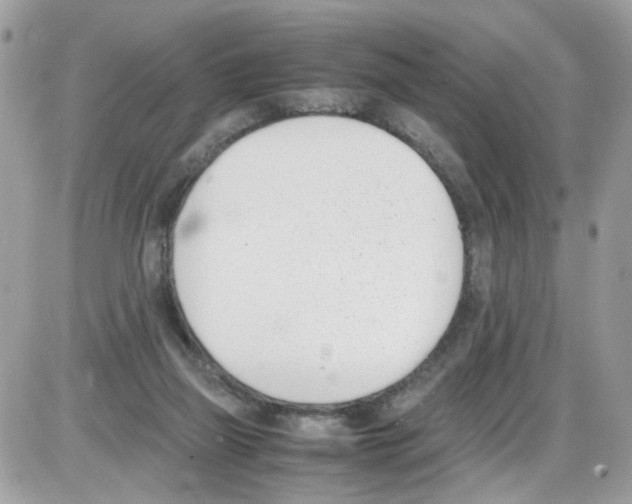 X0000086110165200704202314