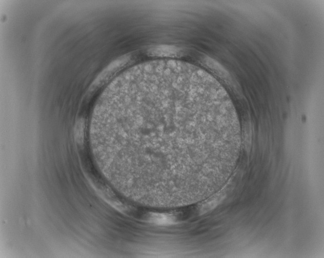 X0000086110167200704202315