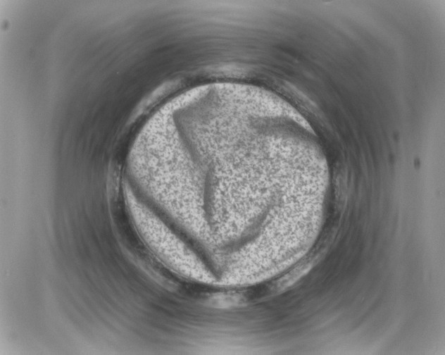 X0000086110168200704202315