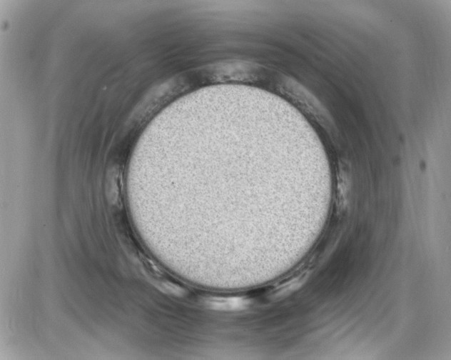 X0000086110169200704202315