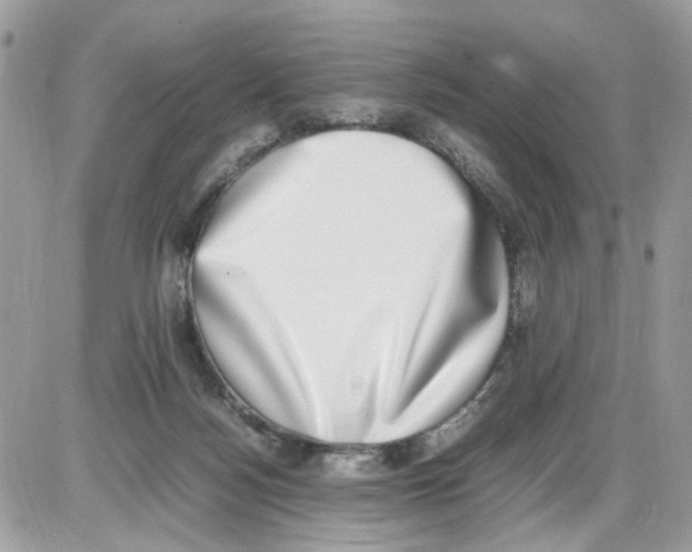 X0000086110172200704202315