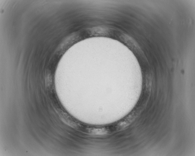 X0000086110173200704202315