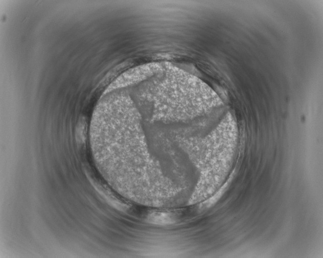 X0000086110174200704202315