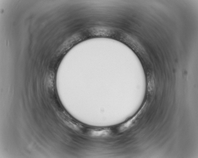 X0000086110175200704202315