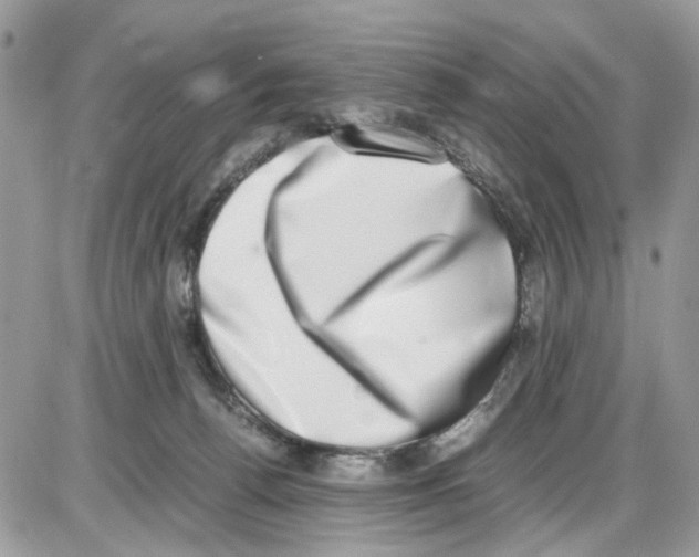 X0000086110176200704202315