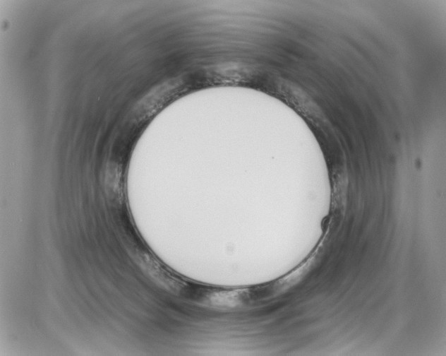 X0000086110178200704202315