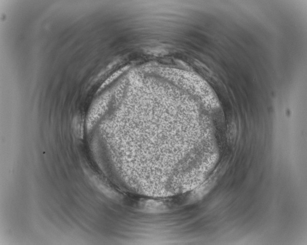 X0000086110180200704202315