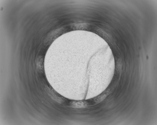 X0000086110181200704202315