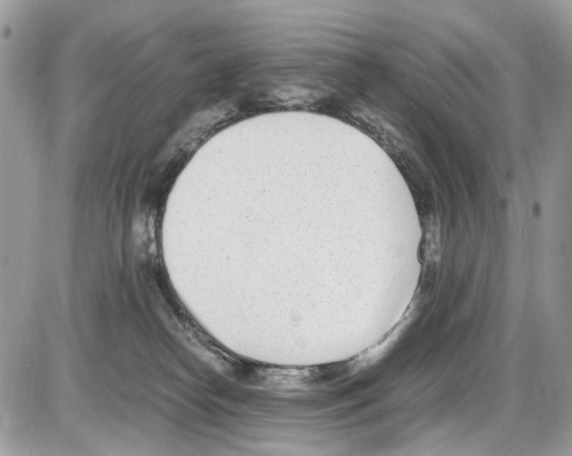 X0000086110182200704202315