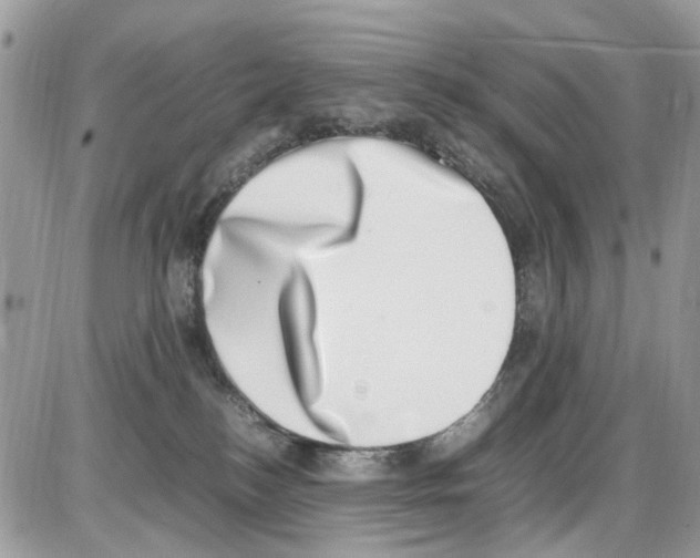 X0000086110184200704202315