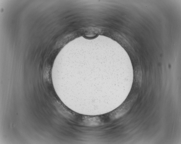 X0000086110185200704202315