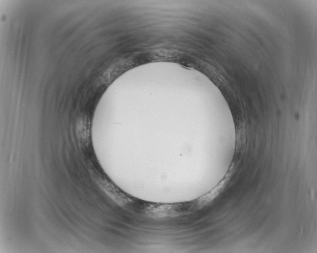 X0000086110186200704202315