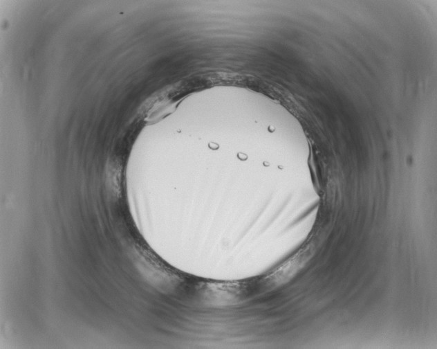 X0000086110188200704202315