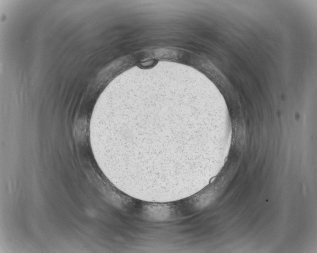 X0000086110189200704202315