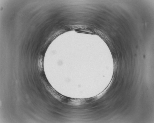 X0000086110190200704202315