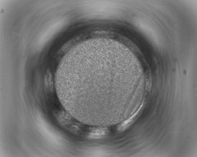 X0000086110191200704202315