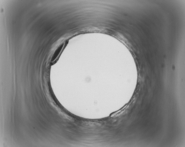 X0000086110193200704202314