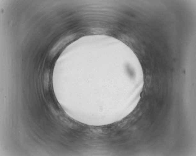 X0000086110194200704202314