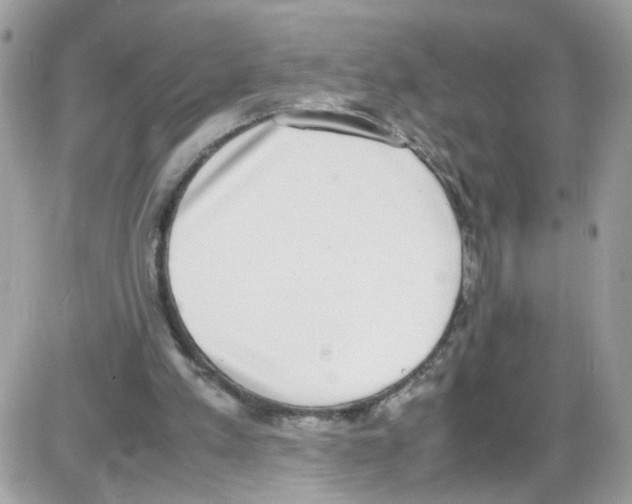 X0000086110197200704202314