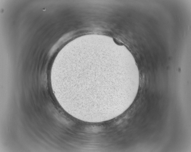 X0000086110198200704202314