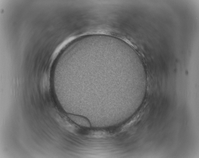 X0000086110200200704202314