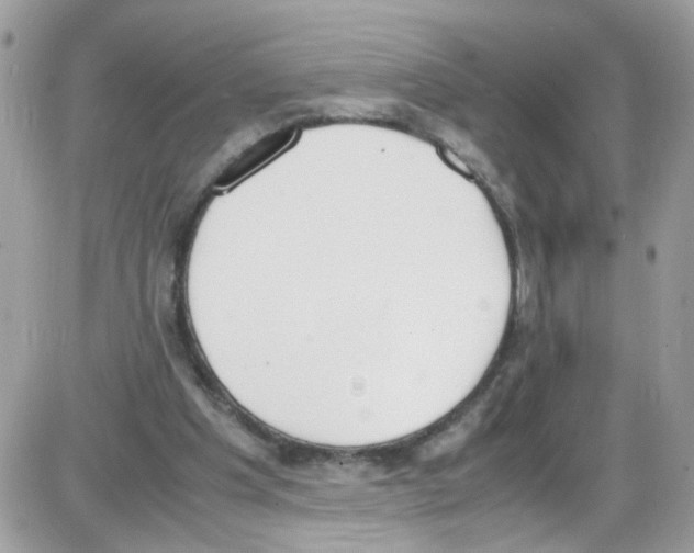 X0000086110201200704202314