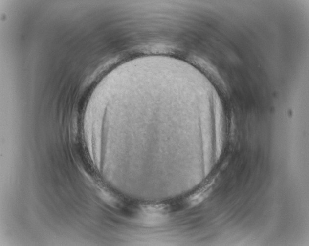 X0000086110202200704202314