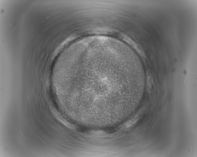 X0000086110203200704202314