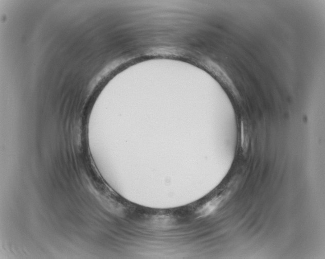 X0000086110204200704202314