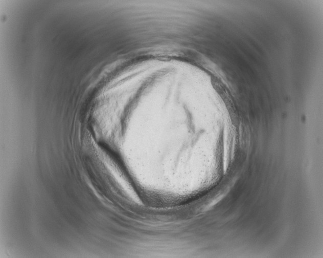 X0000086110205200704202314