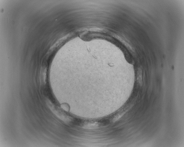 X0000086110206200704202314